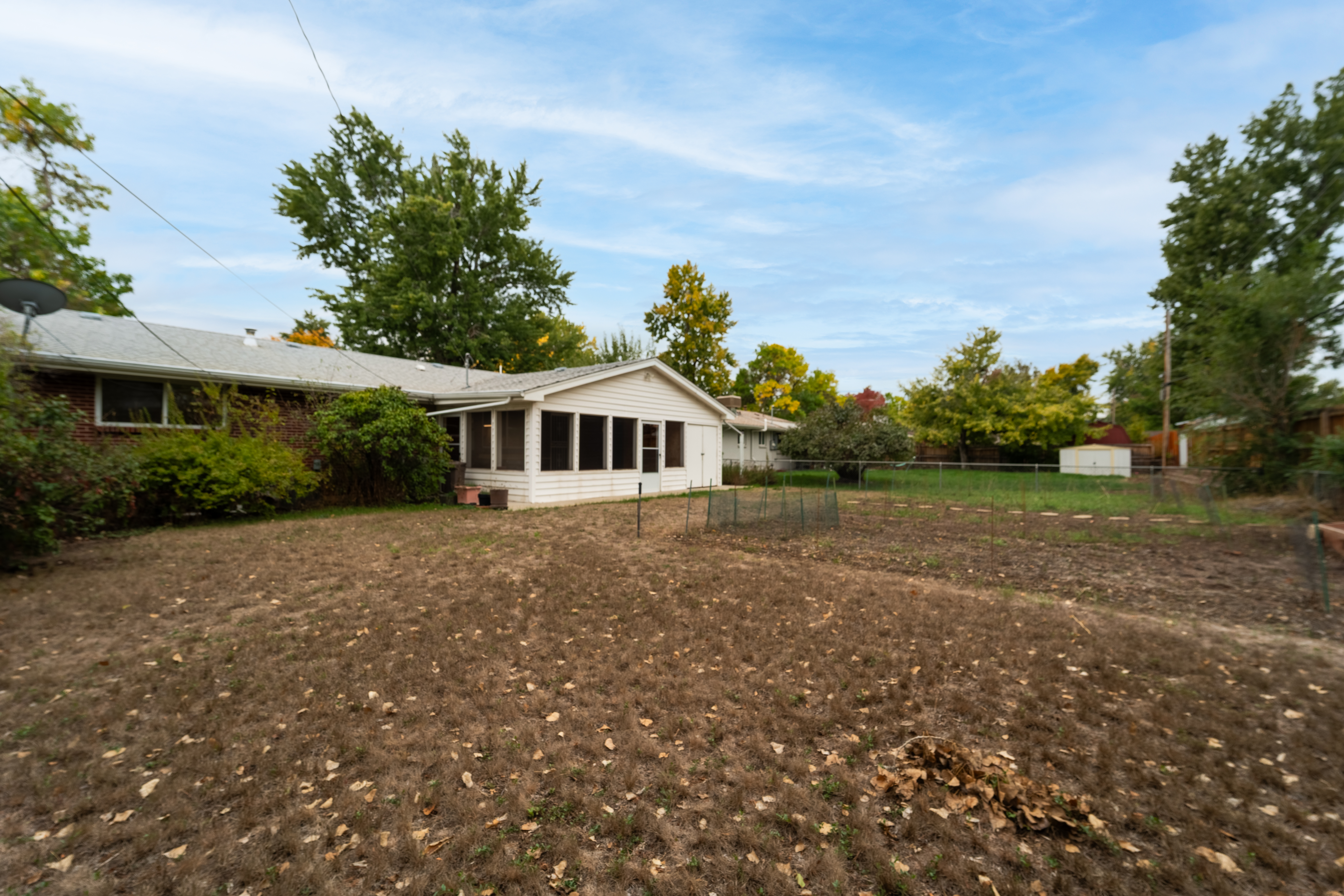 Backyard Before